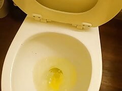 My Pissing compilation video on Xhamster