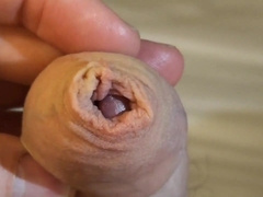 Ma queue en gros plan 4