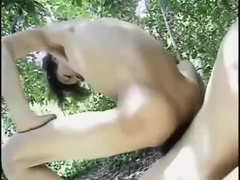 Queer Japanese Bony Slender Outdoor Orgy Pleasures In A Tree