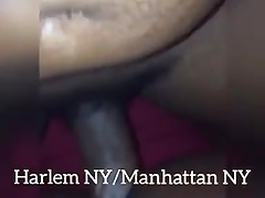 Fucking Harlem Bottom
