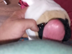 Mutt clad as a bunny Fun#3