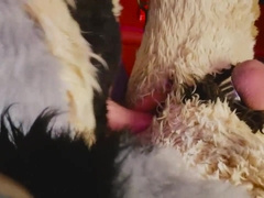 LiondogAri Group Sex Pt two