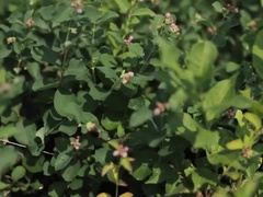 Ass Exposure Full Czech Twink Porn