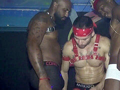 Gay, kadu-castro, vitor-guedes