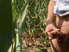 Summer, Sun, Corn & Wanking & Piss 7