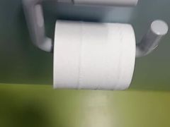 Womens toilet restroom Hotel cumshot on toilet roll