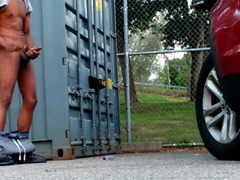 Cummin in a Park near you