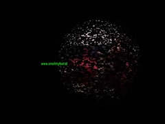 Foot Smell Fetish - Feet Slave