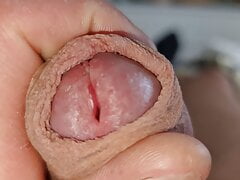Play with crowned Glans Foreskin and Hirsuites close-up uncut cock cumming