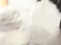 Wolf on the table with Venom