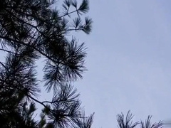 Max Sargent And Rodney Steele