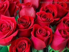 Mature, hd videos, bangladeshi