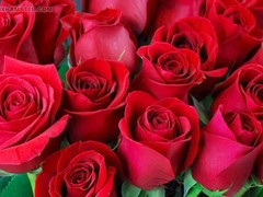 Hd videos, bangladeshi, mature