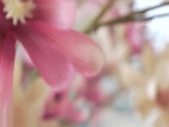 Fabulous xxx scene homo Big Cock greatest will enslaves your mind