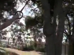 SeanCody - Brodie & Curtis