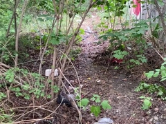 Joy in the Prague woods