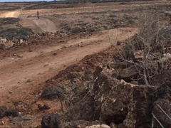 Naked on a bicycle through a town