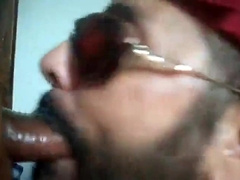 Bezerro carioca mamando os machos 7