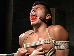 Ropes and clothespins can do wonders for a horny cub