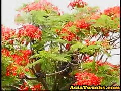 Asia twink nailed after blowjob and showering together