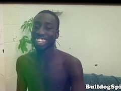 English muscle grizzlies