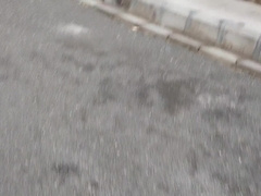 You shouldn't have intercourse by observing your step-sister-in-law.