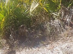 Almost caught twice.