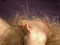 Showing off the extremely long bushy pubes around the base of my uncut white cock and scrotum