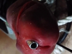 COCK BALL TORTURE with a stainless tube clips on sack and supah man juice