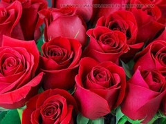 Bangladeshi, ai, mature