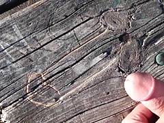 Picnic table art