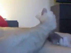 Watch this amateur neighbor get a mouthful from married daddy while he's away