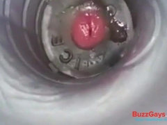 Monstrous Popshots (Not Me)