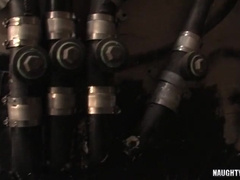 Fur Covered faggot buttfuck and jizz flow