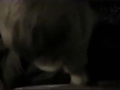 POV Twink gives bf head 5