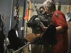 Latin tickle ache pup Pt two