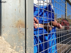 I was so nasty that I stuck my pipe in the very first slot I witnessed. How much gusto