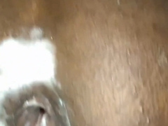 Internal ejaculation bulls eye