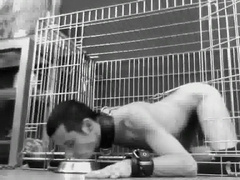 Master Mulatto'S Feet