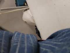 bootie rubdown scorching female WAN