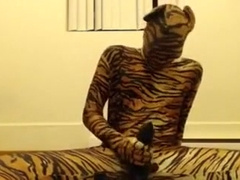 Tiger boy cumming hard