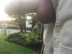 A Walk Outside With My Penis In A Cable Clamp