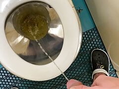 Jerk off and pee in the train toilet
