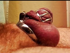 Bull cums on my chastity cage