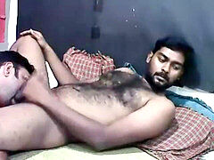 Teddy, fag, gay bear