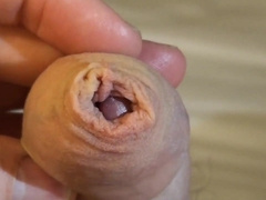 Ma queue en gros plan 7