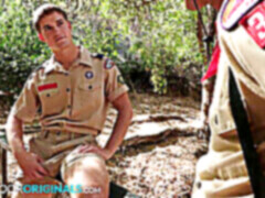 Military, honění ptáka, velký pták