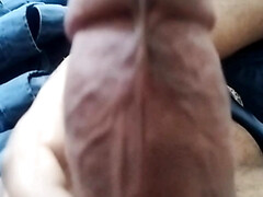 Hard Indian cock right here