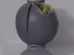 Drew Sebastian - Crazy Xxx Scene Gay Tattoo New