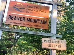 Naked walk and wank at the park